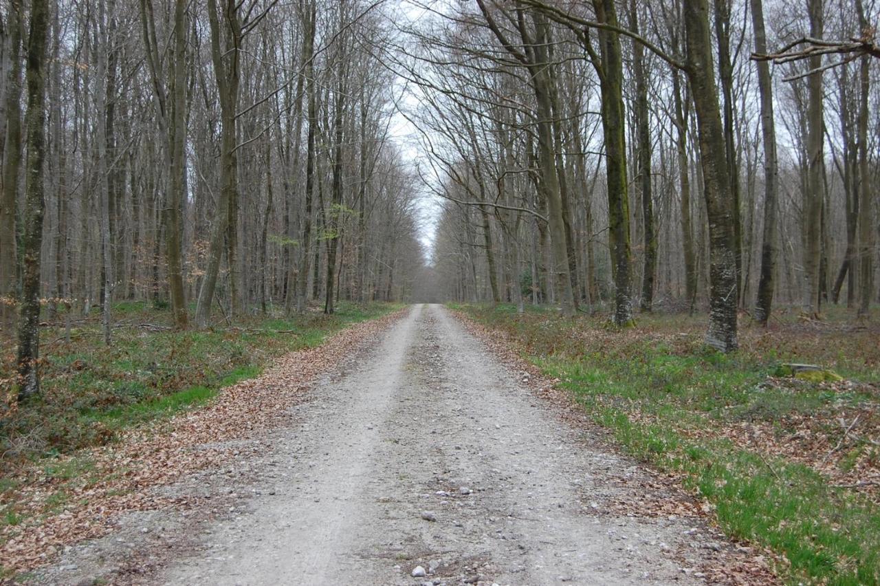 Le Petit Gite De La Varenne Saint-Hellier Εξωτερικό φωτογραφία